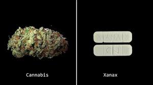 Last year alone, the states that had legalized weed in the u.s made over $2.7 billion in taxes alone. How Marijuana Will Change Your Life According To Reddit Nuggmd