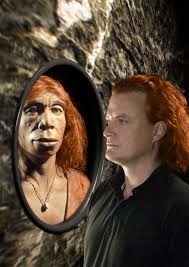 Jede dritte europäerin besitzt einen progesteronrezeptor, der von unseren ausgestorbenen verwandten stammt. Du Bist Neandertaler Scinexx De