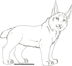 Looking at the lynx coloring pages, your kid will immediately pay attention to the brushes located on the ears of the animal. 7 Pics Of Canada Lynx Coloring Page Lynx Coloring Pages Lynx Coloring Home
