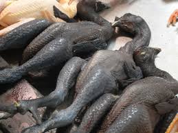 Karakteristik morfometrik ayam kampung (permadi et al.) 13 ayam, kemudian mennetukan sampel secara purposive sampling yaitu ayam yang disukai memiliki jengger single, warna shank dan mata kuning, warna bulu ayam jantan hitam kombinasi kuning sedangkan pada ayam betina memiliki warna bulu coklat hitam, putih totol hitam dan putih. Gambar Daging Ayam Cemani