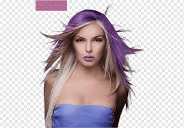 Pick a shade of purple: Brown Hair Hair Coloring Feathered Hair Portrait Bangs Others Purple Black Hair Violet Png Pngwing