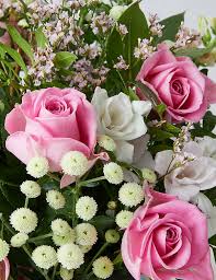 Check spelling or type a new query. Rose Freesia Gift Bag M S