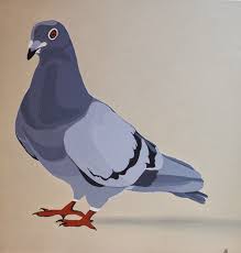 Art Travel Other Bits Animal Paintings Acrylic Cute Pigeon Bird Drawings