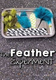 Feather mad doc's experiments