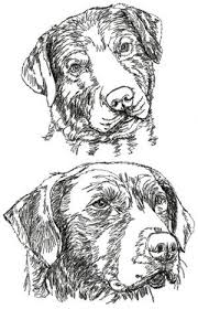 Black And White Chesapeake Bay Retriever Chesapeake Bay Retriever Set Machine Embroidery Designs Embroidery Designs Silhouette Drawing