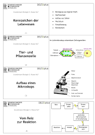 Kennzeichen Der Lebewesen Tier Und Pflanzenzelle Aufbau Eines