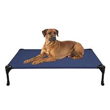 Best extra large dog beds uk. Top 5 Best Raised Dog Beds 2021 Review