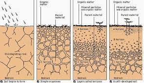 Pin On Soil And Water