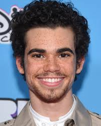 Happy belated birthday to Cameron Boyce, he would've turned 26 yesterday 🕊️