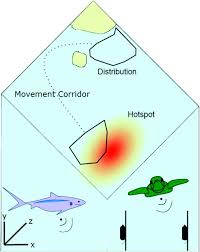 Check spelling or type a new query. Optimizing Marine Spatial Plans With Animal Tracking Data