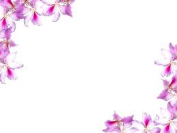 Rgbstock Com Free Stock Photos Rgbstock Free Stock Images Floral Border 10 Floral Border Floral Border Design Flower Border