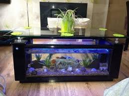 L39 albatros coffee table made with the stunning aquarium coffee table with a white sparkle quartz surround and a full toughened glass top with polished edges and radius corners. Rectangular Coffee Table Aquarium For Sale In Tallaght Dublin From Kissea