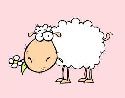 Dibujar ovejas - Imagui