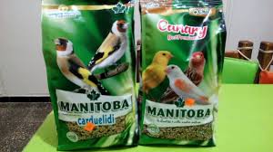 Manitoba alimentations pour oiseaux insectivores. Ø£Ø¬ÙˆØ¯ Ø®Ù„Ø·Ø© Ø¨Ø°ÙˆØ± Ù„Ø·ÙŠÙˆØ± Ø§Ù„ÙƒÙ†Ø§Ø±ÙŠ Ùˆ Ø§Ù„Ø­Ø³ÙˆÙ† Youtube