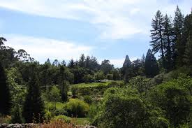 Ocha tea cafe & restaurant. Get Outside Your Guide For What To Do At To Berkeley S Tilden Park
