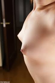 Большая треугольная грудь - 55 снимков в чистом виде