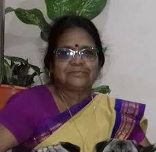 Portulaca plants in full bloom