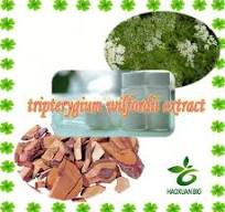 Tripterygium Wilfordii Hook Root Extract Triptolide 98% at ...