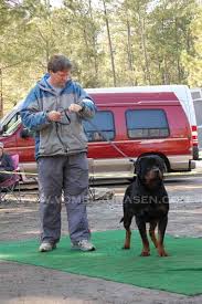 See puppy pictures, health information and reviews. Rottweiler Breeders In Alabama