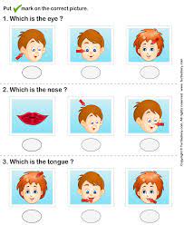 Our entire collection of kindergarten worksheets have been made into a free web app powered by kids can use their fingers to draw, write, and solve problems directly on the free kindergarten. Download And Print Turtle Diary S Parts Of Human Face Worksheet Our Large Collection Of Science Worksheets Are Human Body Games Human Face Hand Washing Poster