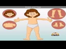 Head Shoulders Knees And Toes With Lyrics Nursery Rhyme Preschool Esl Nurseryrhymes Education Kids Nursery Rhyme Lessons Nursery Rhymes Rhymes