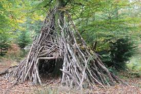 We list all things to do in savannah: Pine Tree Survival Hacks