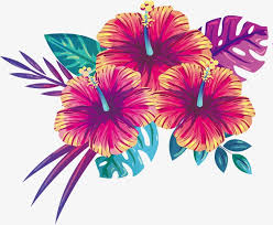 Blooming Summer Flowers Flores De Verao Design Grafico Flor Grafico Flor