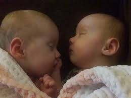 Pygmy goats for sale in Kernersville, NC