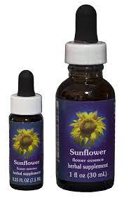 Sunflower Fes Quintessentials Flower Essences Flower Essences