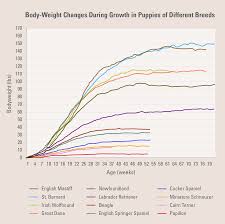 Feeding Your Puppy To Ensure Healthy Growth Diamond Pet Foods