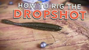 Make sure your hook point is facing upward and leave a. Drop Shot Rig How To Rig The Drop Shot Tutorial Youtube