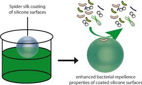 Username aesthetic nn nj rp ideas font ig. Microbial Repellence Properties Of Engineered Spider Silk Coatings Prevent Biofilm Formation Of Opportunistic Bacterial Strains Springerlink
