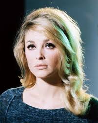 Sharon Tate, le foto dell'attrice, moglie di Roman Polanki, uccisa il 9  agosto del 1969