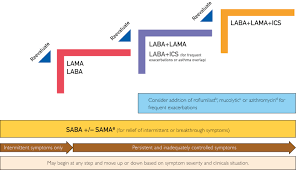 Image result for COPD Management