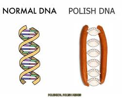 234 935 tykkäystä · 443 puhuu tästä. 30 Funny Polish Memes