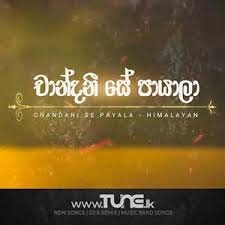 Baa nawatanna / ba nawathanna shammi fernando chords chordify : 2020 New Sinhala Song Mp3 Download Www Tune Lk