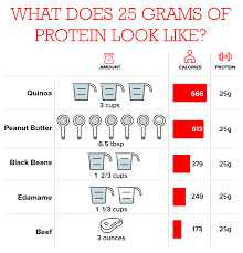 Protein Essential For Life