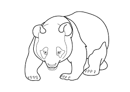 Download or print for free from the site. Panda Coloring Pages Best Coloring Pages For Kids