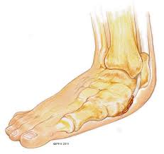 Pin On Get To Know Your Feet
