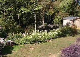 Maybe you would like to learn more about one of these? Ways To Keep Deer And Rabbits Out Of Your North Carolina Gardens Carolina Country