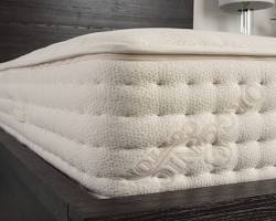 Image of PlushBeds Botanical Bliss mattress