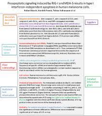 This is not strictly part of the imrad structure, but conclusions are an important and integral part of. Use Imrad Stucture For The Write Order For Your Manuscripts Edanz
