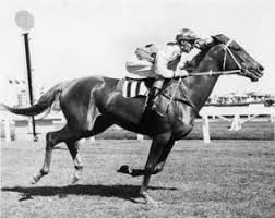 1965 Light Fingers Melbourne Cup Winner Google Search Melbourne Cup Winners Horses Sport Horse