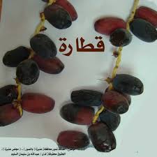 انواع التمور بالصور Fruit Grapes Vegetables