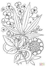 40+ pot leaf coloring pages for printing and coloring. Pot Leaf Mandala Coloring Pages Novocom Top