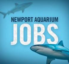 Pin On Aquatic Jobs And Scholarships