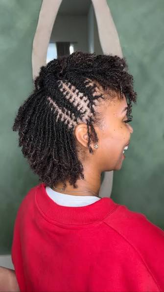 Micro Locs 2 Strand Twist