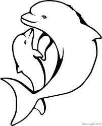 Reviewed in the united states on april 20, 2015. Porpoise Coloring Pages Coloringall