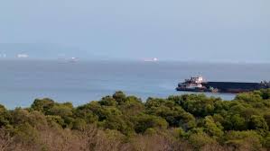 The Sewri Fort – My Favourite Things