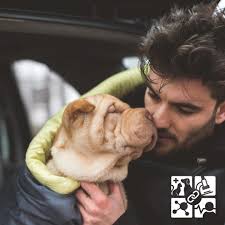 OVC Veterinary Clinical Trials (@ovcclintrials) • Instagram photos and  videos